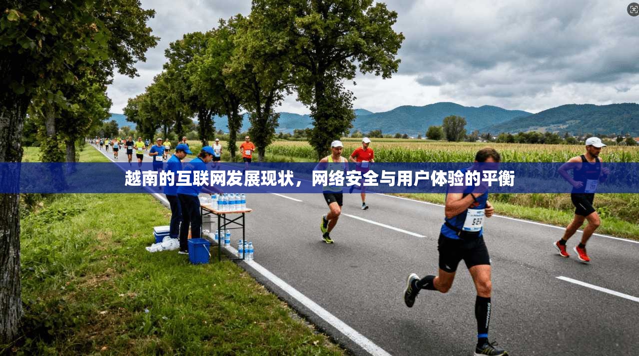 越南的互联网发展现状，网络安全与用户体验的平衡