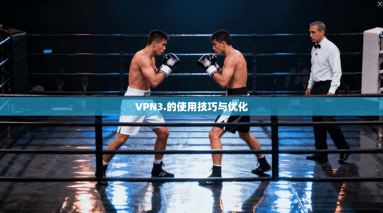 VPN3.的使用技巧与优化