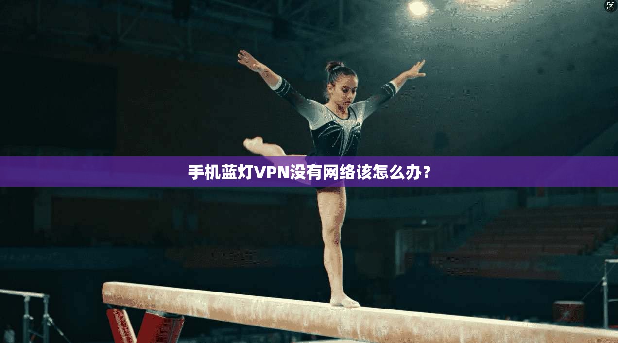 手机蓝灯VPN没有网络该怎么办？