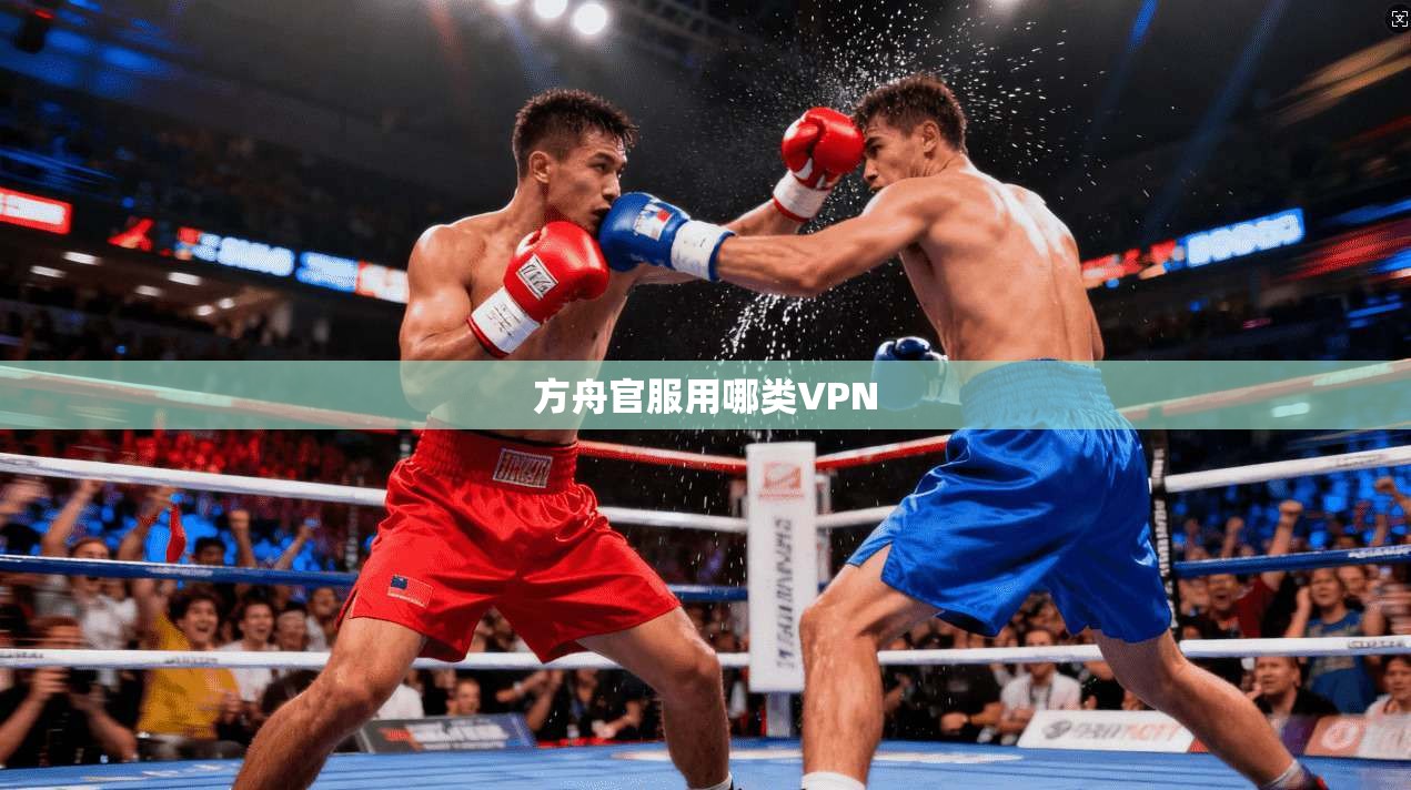 方舟官服用哪类VPN