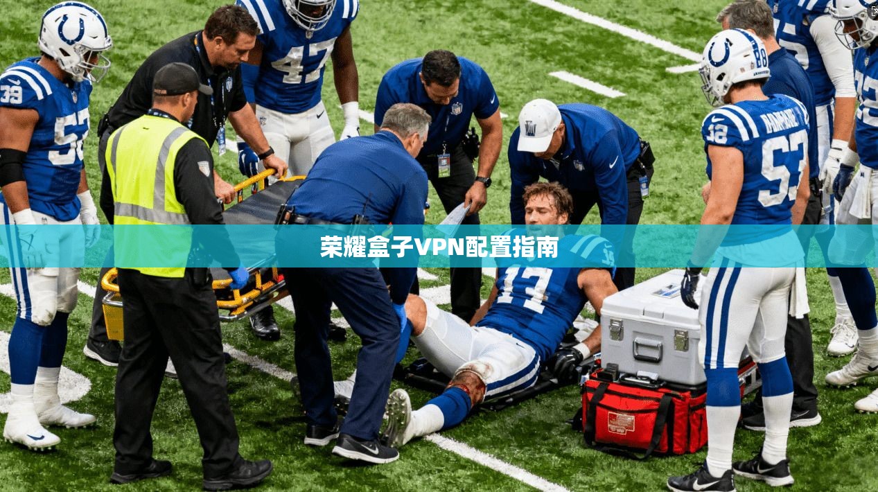荣耀盒子VPN配置指南