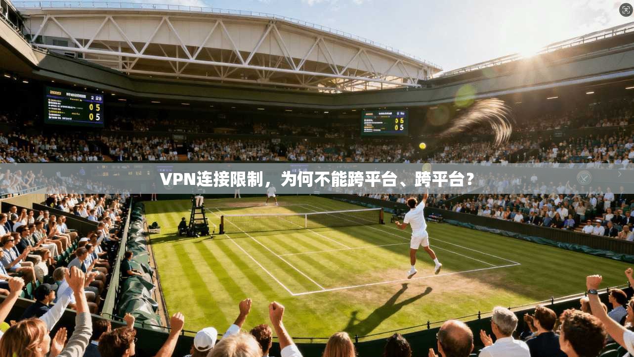 VPN连接限制，为何不能跨平台、跨平台？