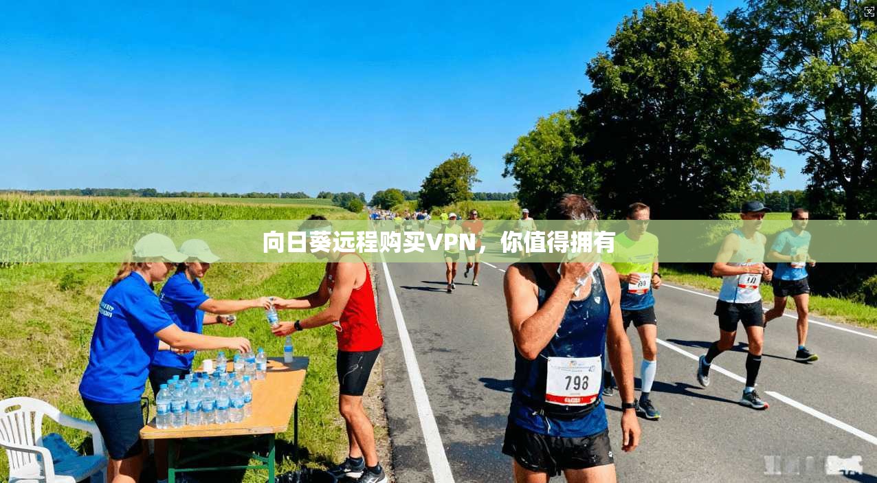 向日葵远程购买VPN，你值得拥有