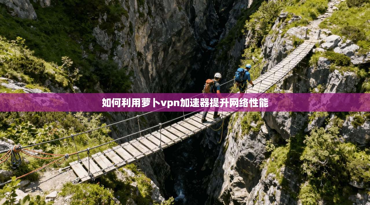 如何利用萝卜vpn加速器提升网络性能