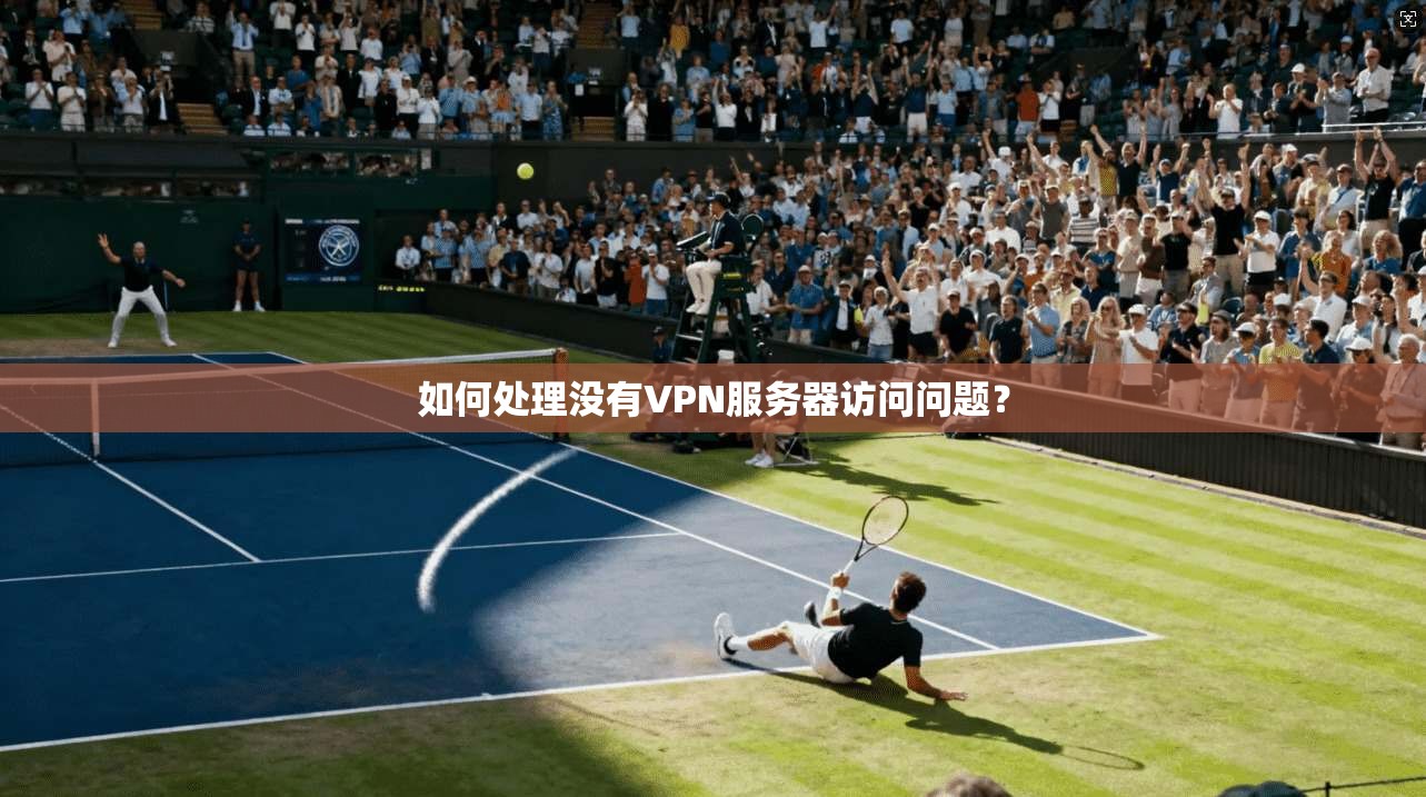 如何处理没有VPN服务器访问问题？