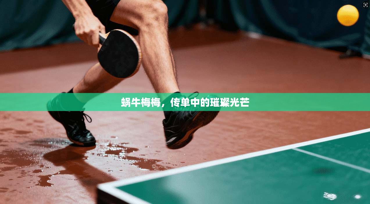 蜗牛梅梅，传单中的璀璨光芒