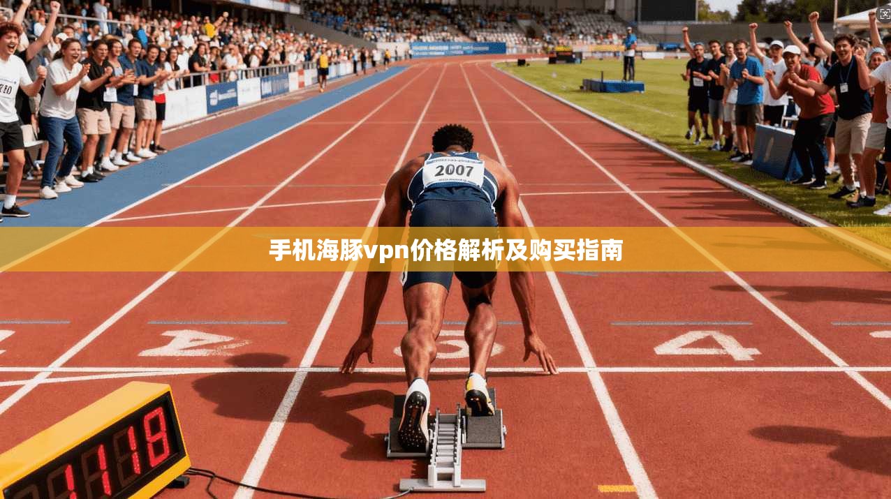 手机海豚vpn价格解析及购买指南
