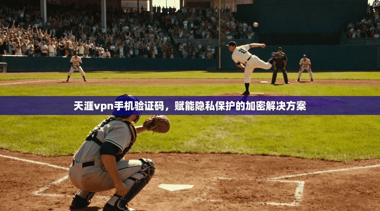 天涯vpn手机验证码,赋能隐私保护的加密解决方案
