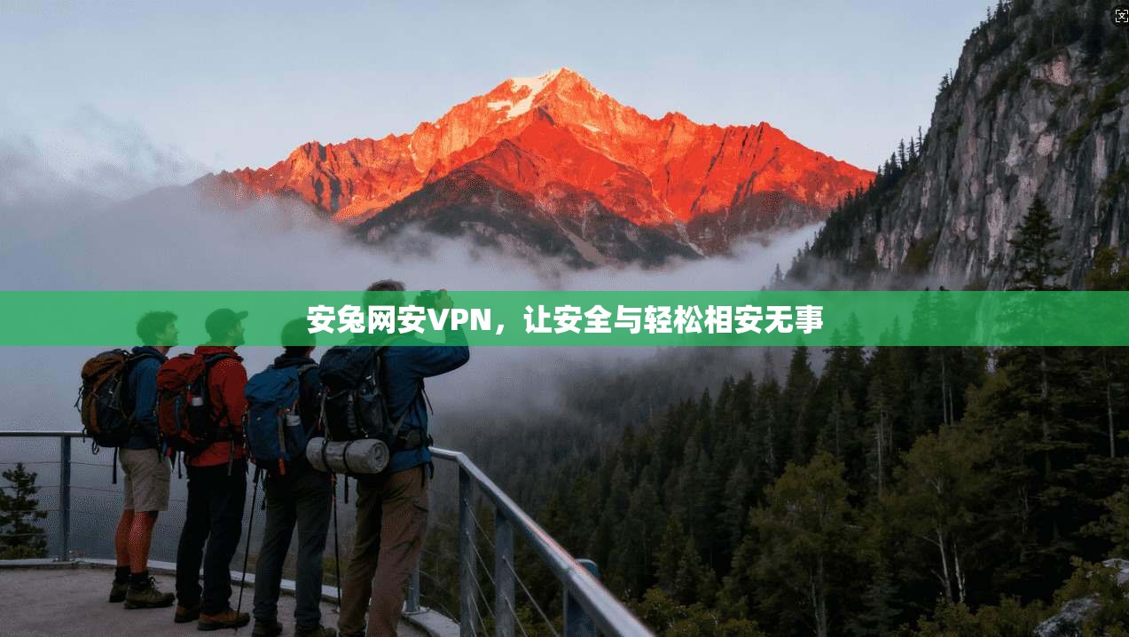 安兔网安VPN，让安全与轻松相安无事