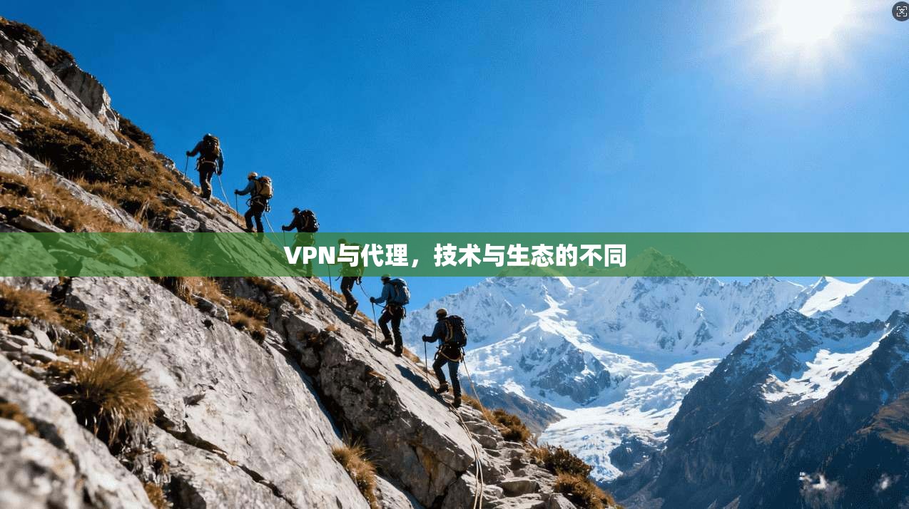 VPN与代理，技术与生态的不同