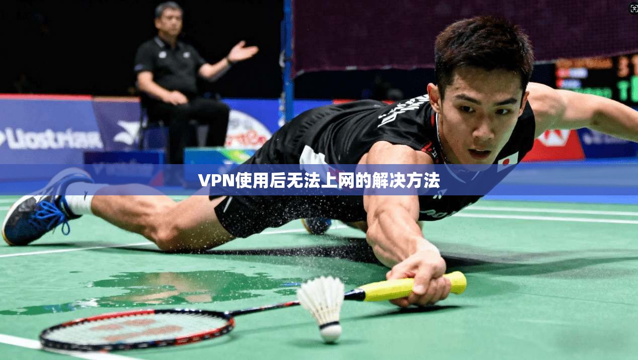 VPN使用后无法上网的解决方法  第1张