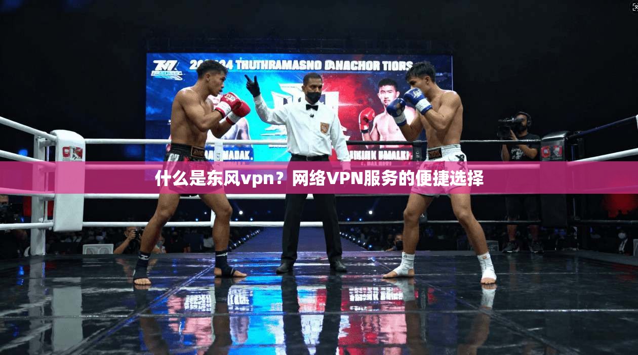 什么是东风vpn？网络VPN服务的便捷选择