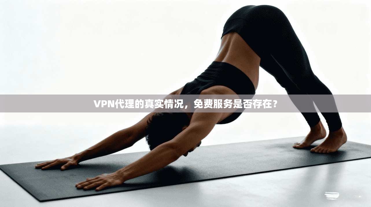 VPN代理的真实情况,免费服务是否存在?