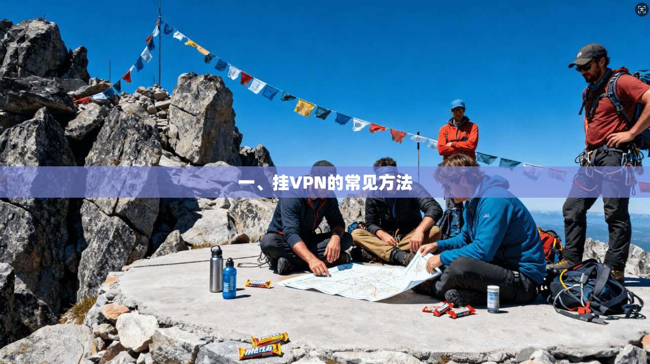 一、挂VPN的常见方法