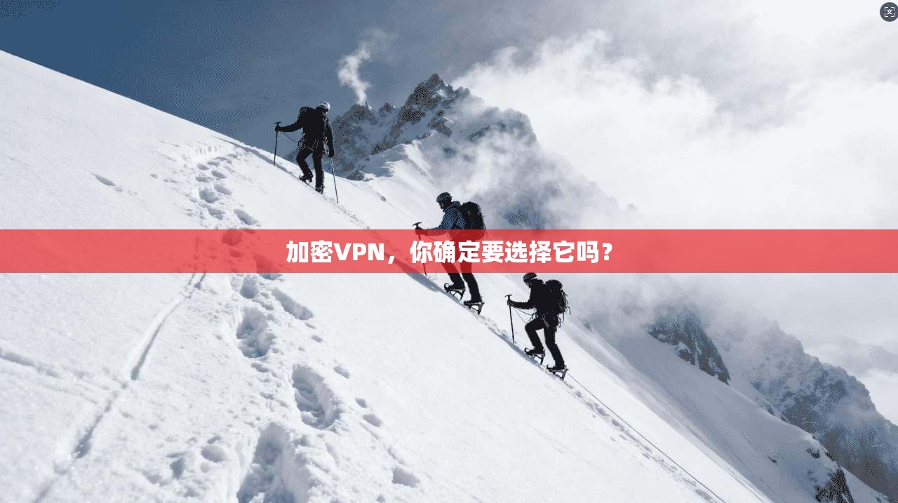 加密VPN,你确定要选择它吗?