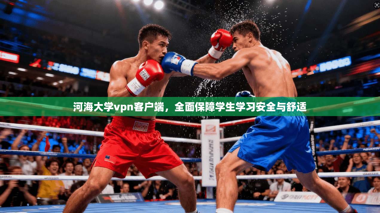 河海大学vpn客户端,全面保障学生学习安全与舒适