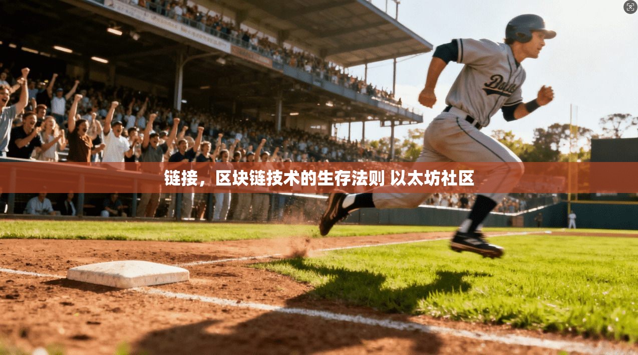 链接,区块链技术的生存法则 以太坊社区