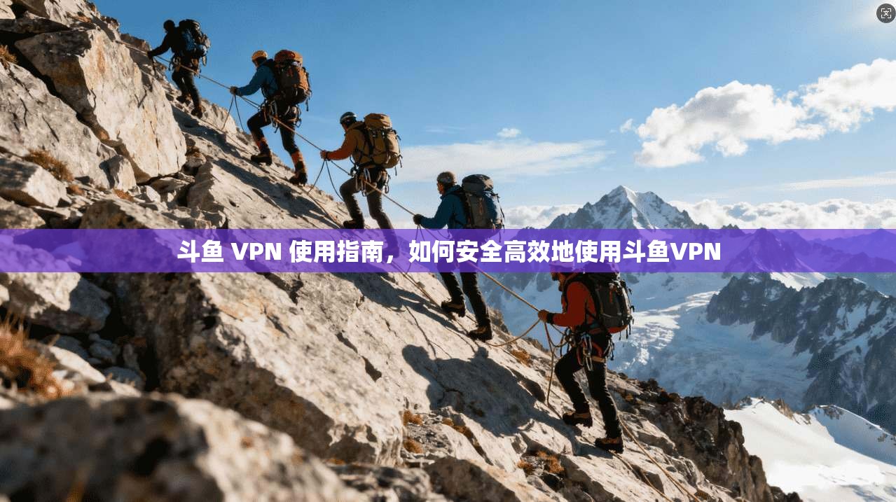 斗鱼 VPN 使用指南,如何安全高效地使用斗鱼VPN 第1张 斗鱼 VPN 使用指南,如何安全高效地使用斗鱼VPN 第1张