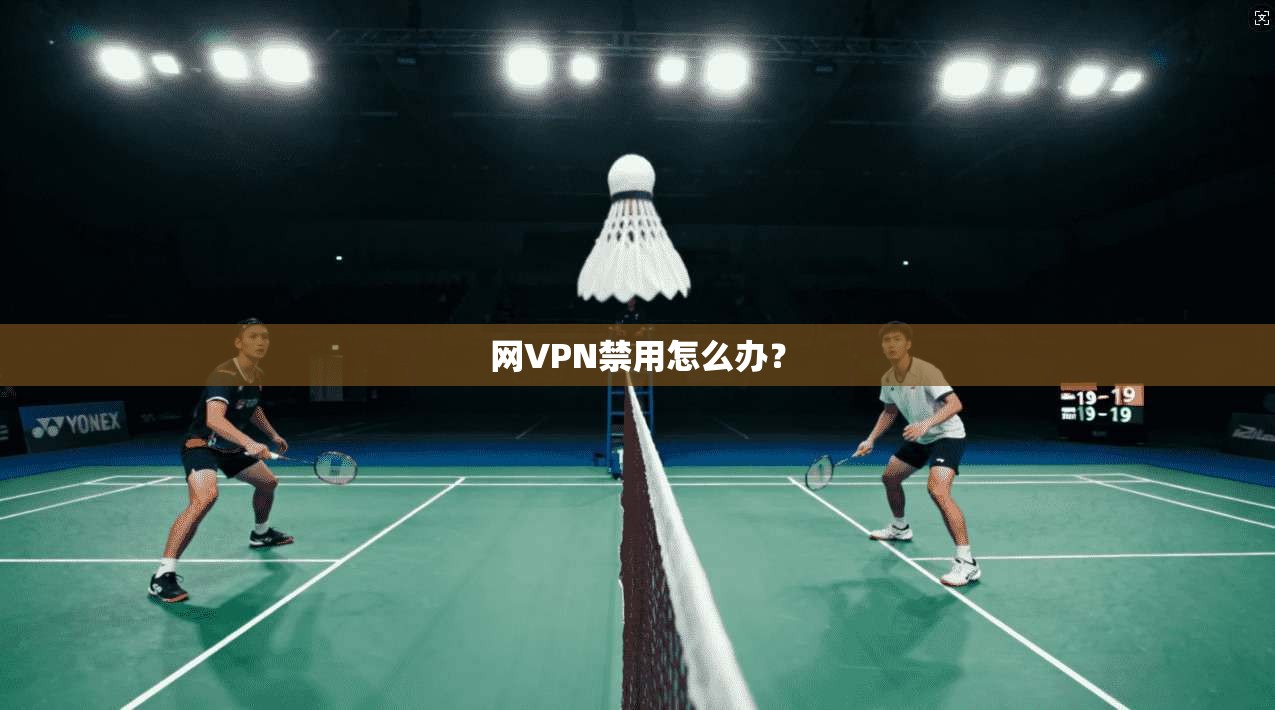 网VPN禁用怎么办？