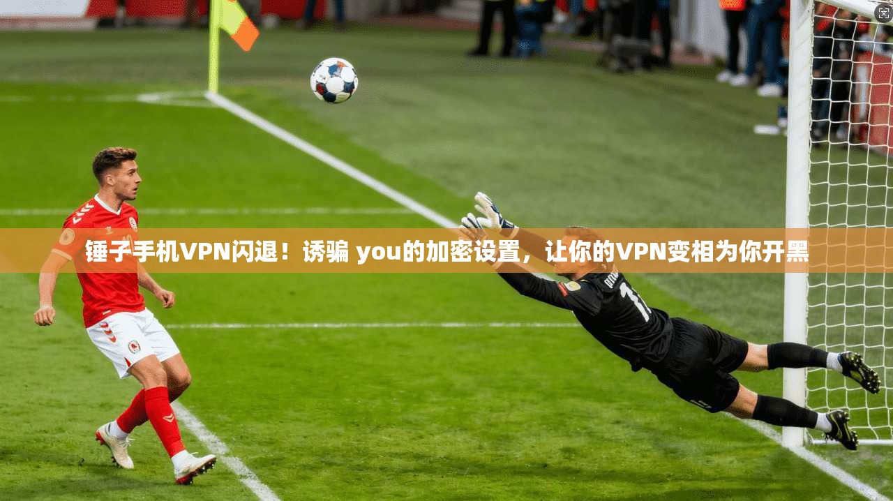 锤子手机VPN闪退!诱骗 you的加密设置,让你的VPN变相为你开黑