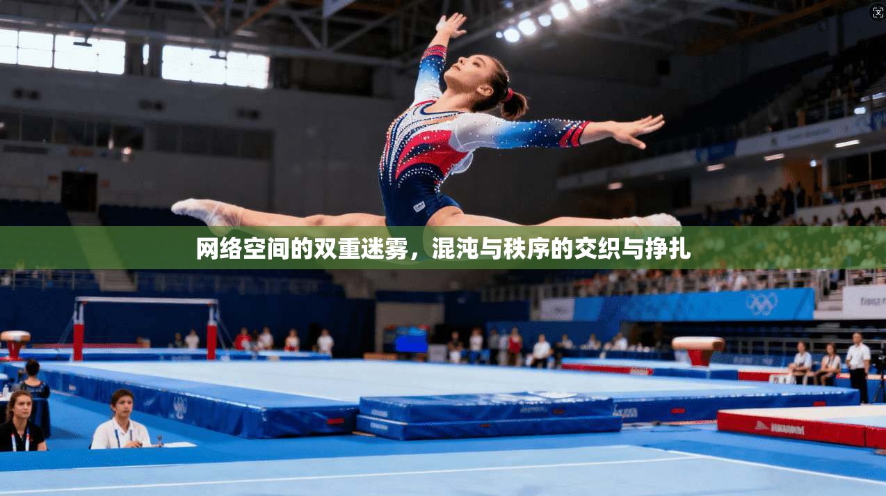 网络空间的双重迷雾,混沌与秩序的交织与挣扎