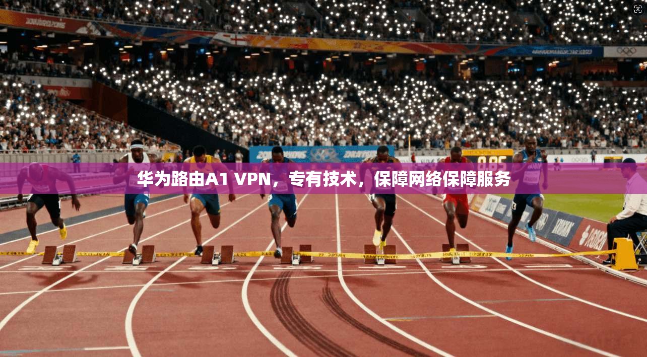 华为路由A1 VPN，专有技术，保障网络保障服务