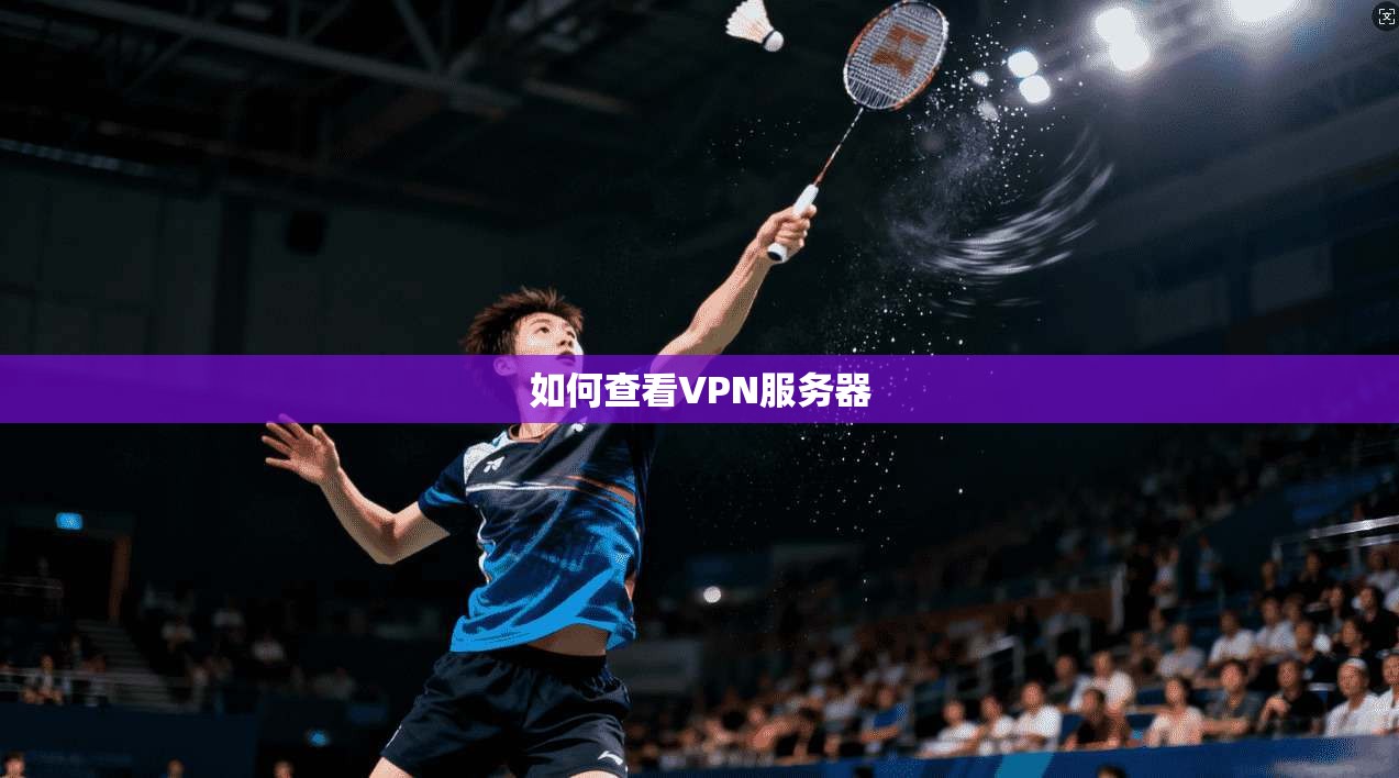 如何查看VPN服务器