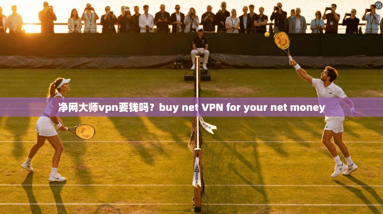 净网大师vpn要钱吗？buy net VPN for your net money