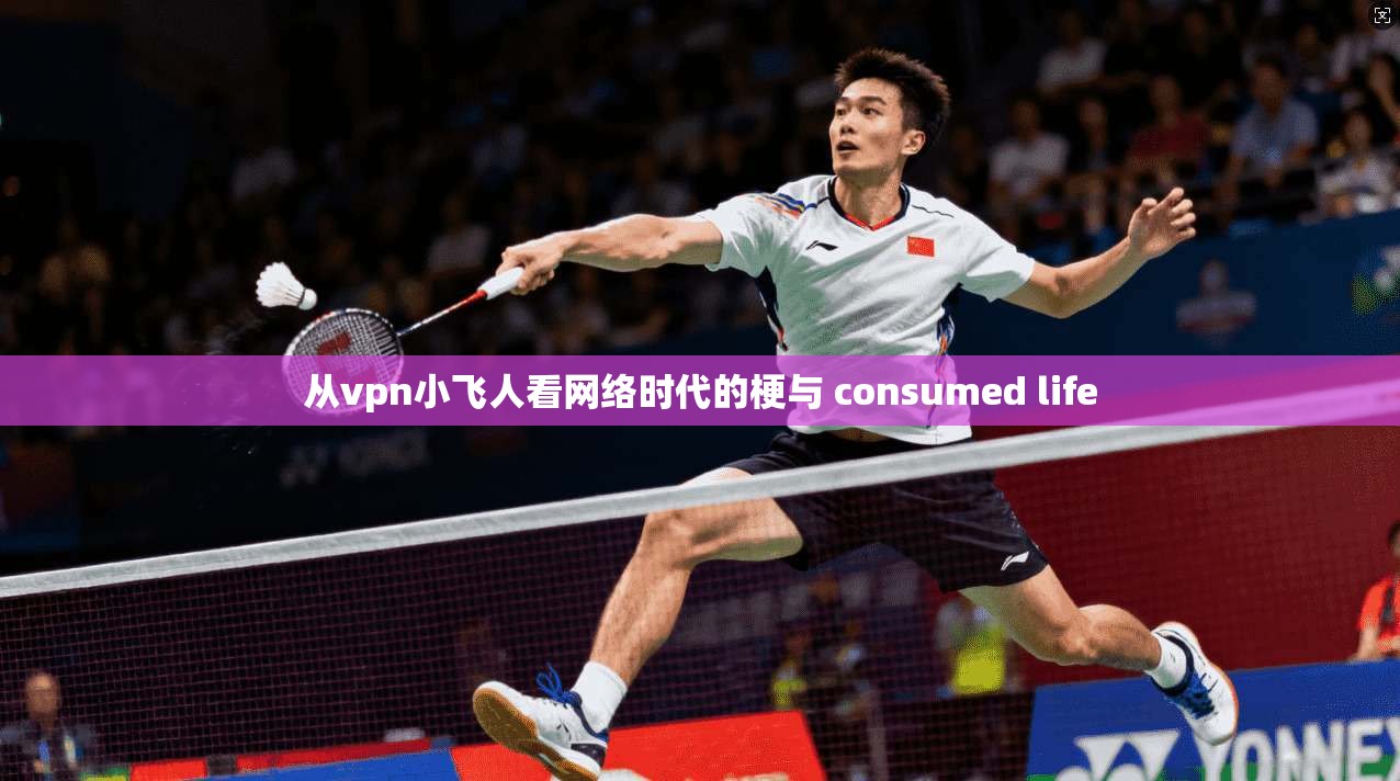 从vpn小飞人看网络时代的梗与 consumed life