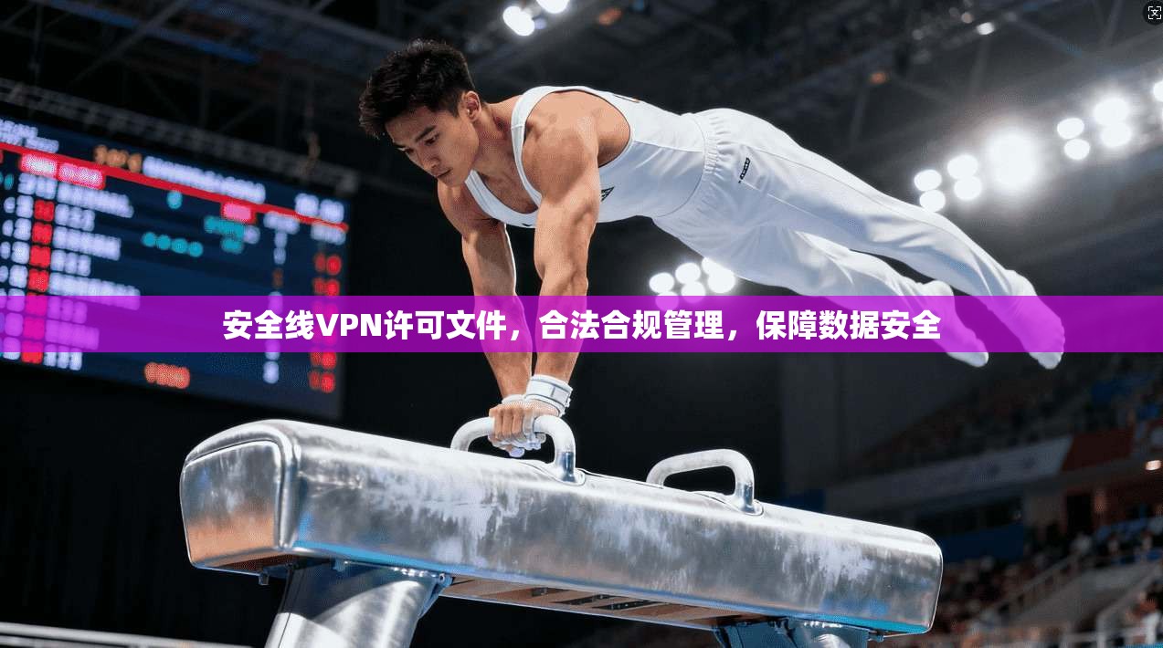 安全线VPN许可文件，合法合规管理，保障数据安全