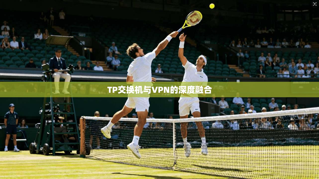 TP交换机与VPN的深度融合
