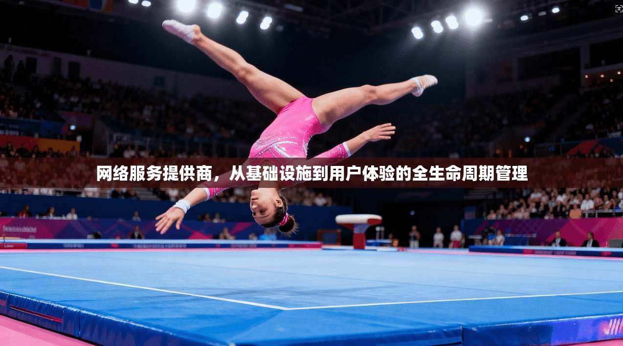 网络服务提供商,从基础设施到用户体验的全生命周期管理