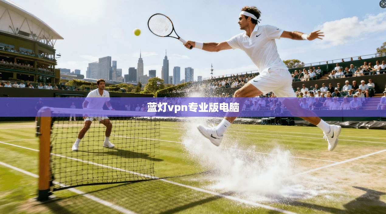 蓝灯vpn专业版电脑