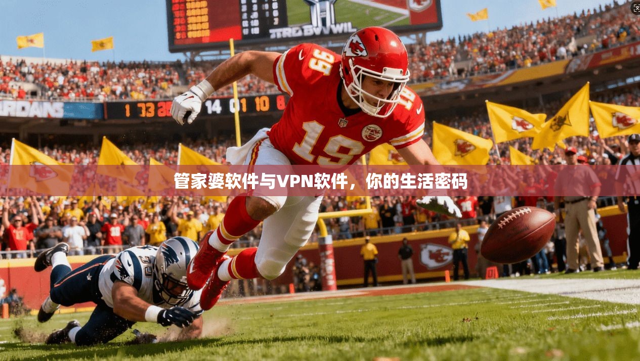 管家婆软件与VPN软件，你的生活密码