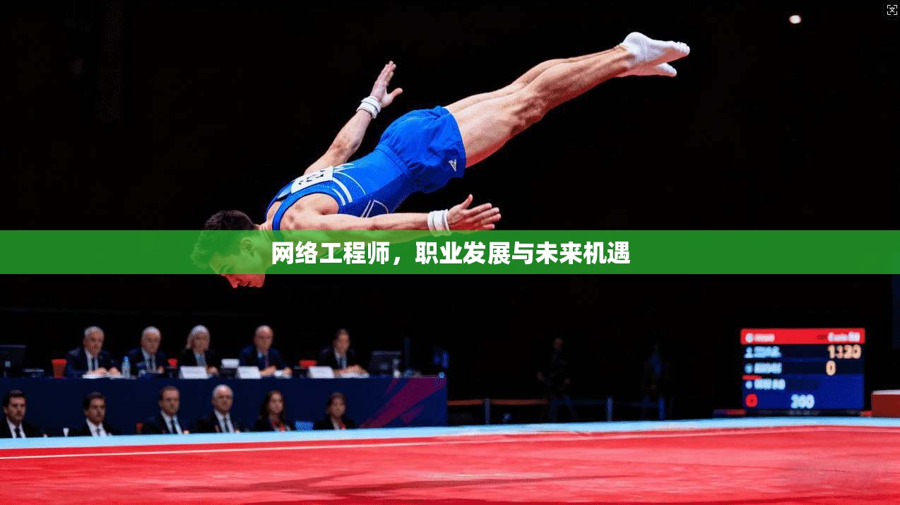 网络工程师，职业发展与未来机遇
