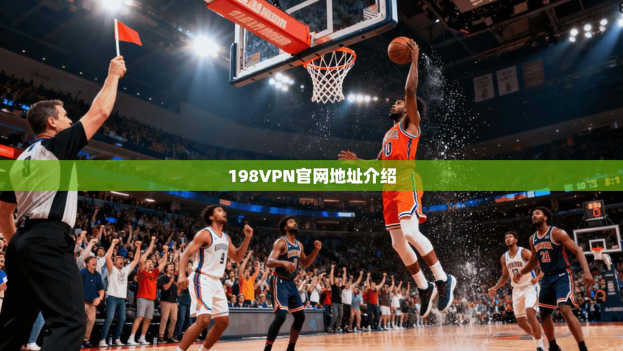 198VPN官网地址介绍