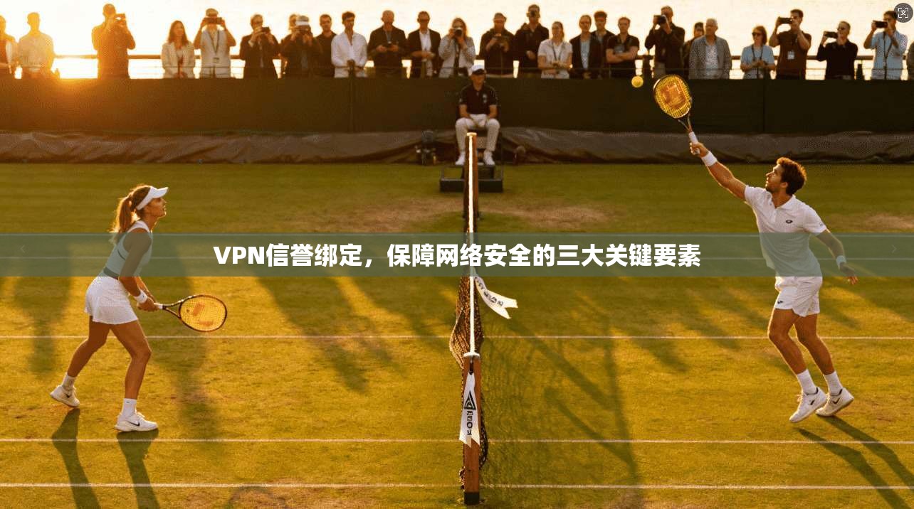 VPN信誉绑定,保障网络安全的三大关键要素