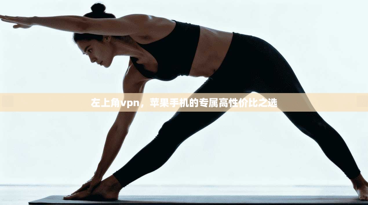 左上角vpn，苹果手机的专属高性价比之选