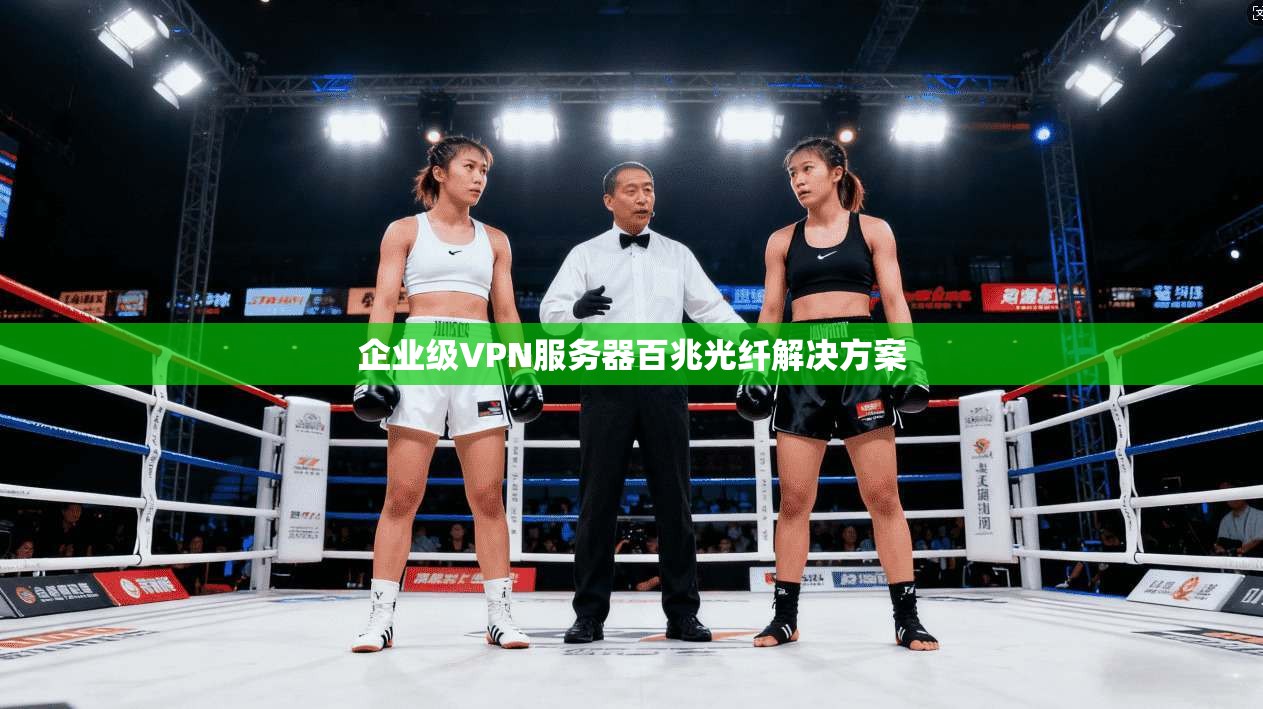 企业级VPN服务器百兆光纤解决方案