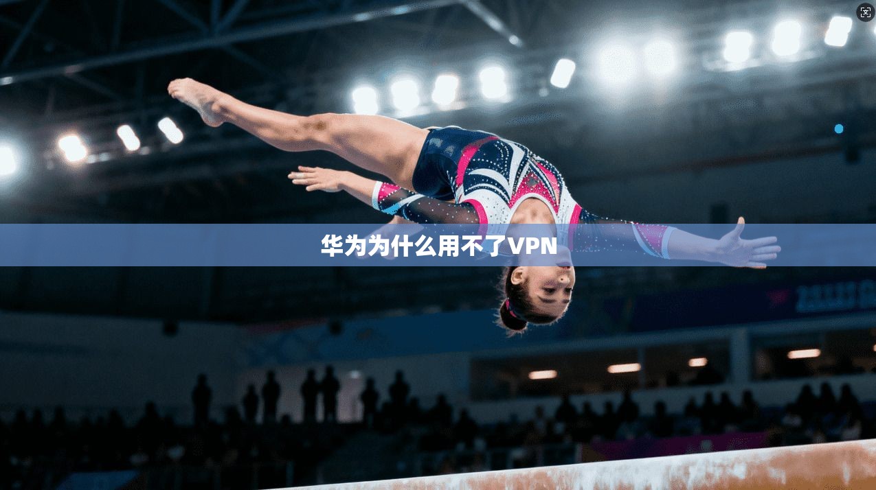 华为为什么用不了VPN