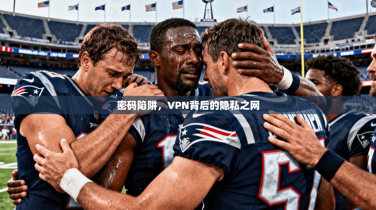 密码陷阱,VPN背后的隐私之网