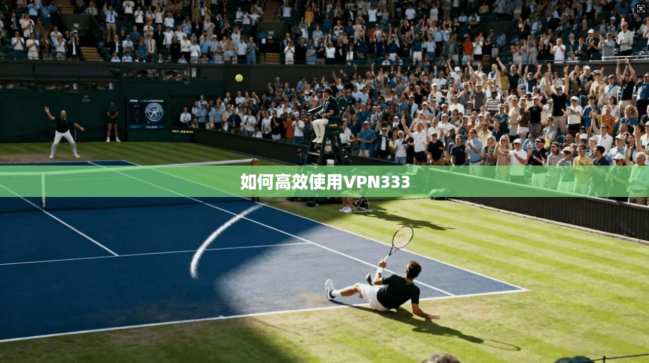 如何高效使用VPN333