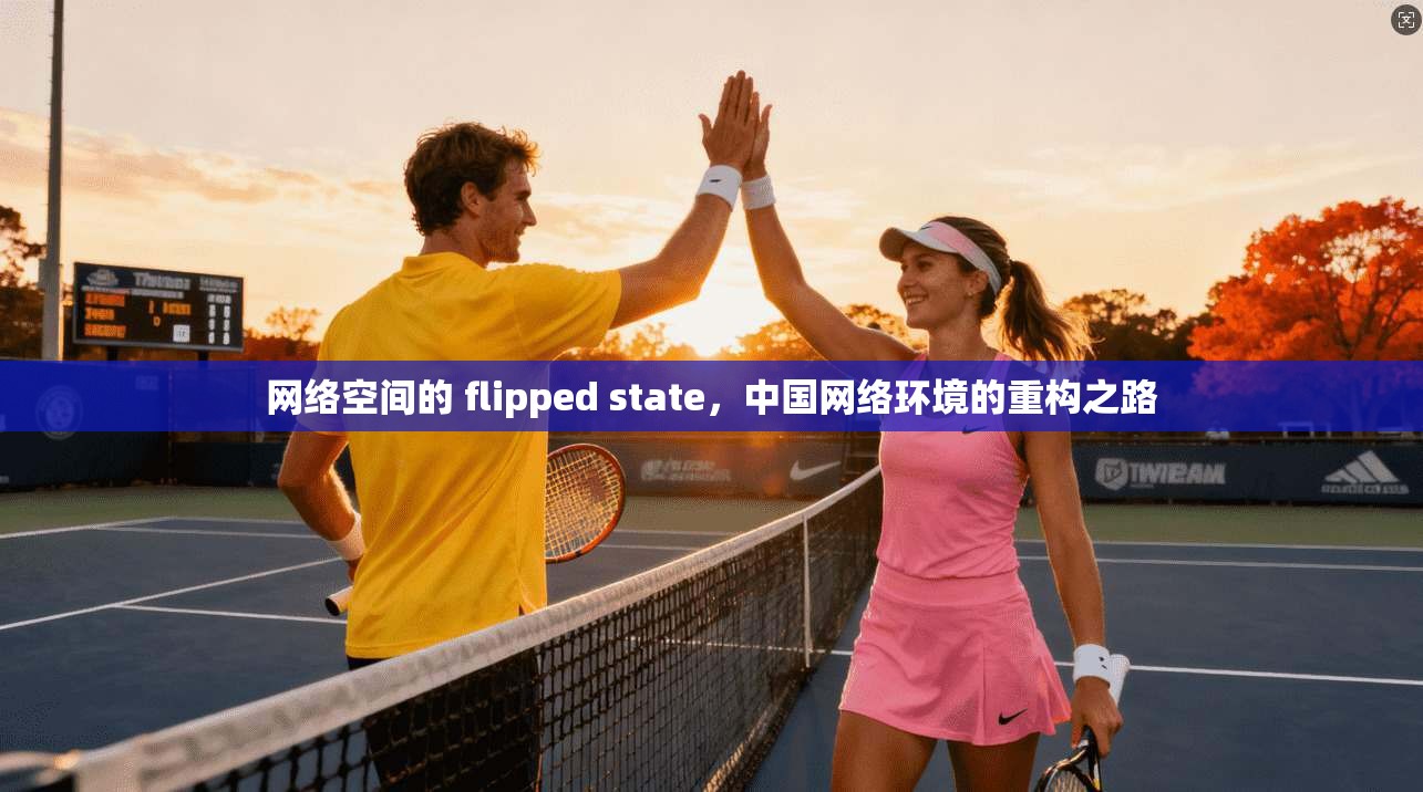 网络空间的 flipped state,中国网络环境的重构之路