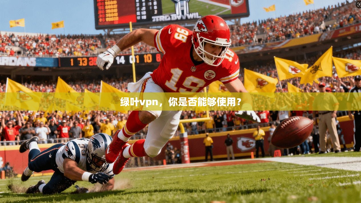 绿叶vpn,你是否能够使用?