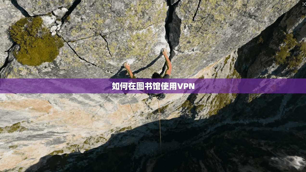 如何在图书馆使用VPN