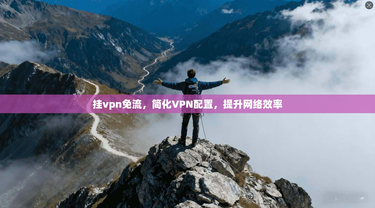 挂vpn免流，简化VPN配置，提升网络效率