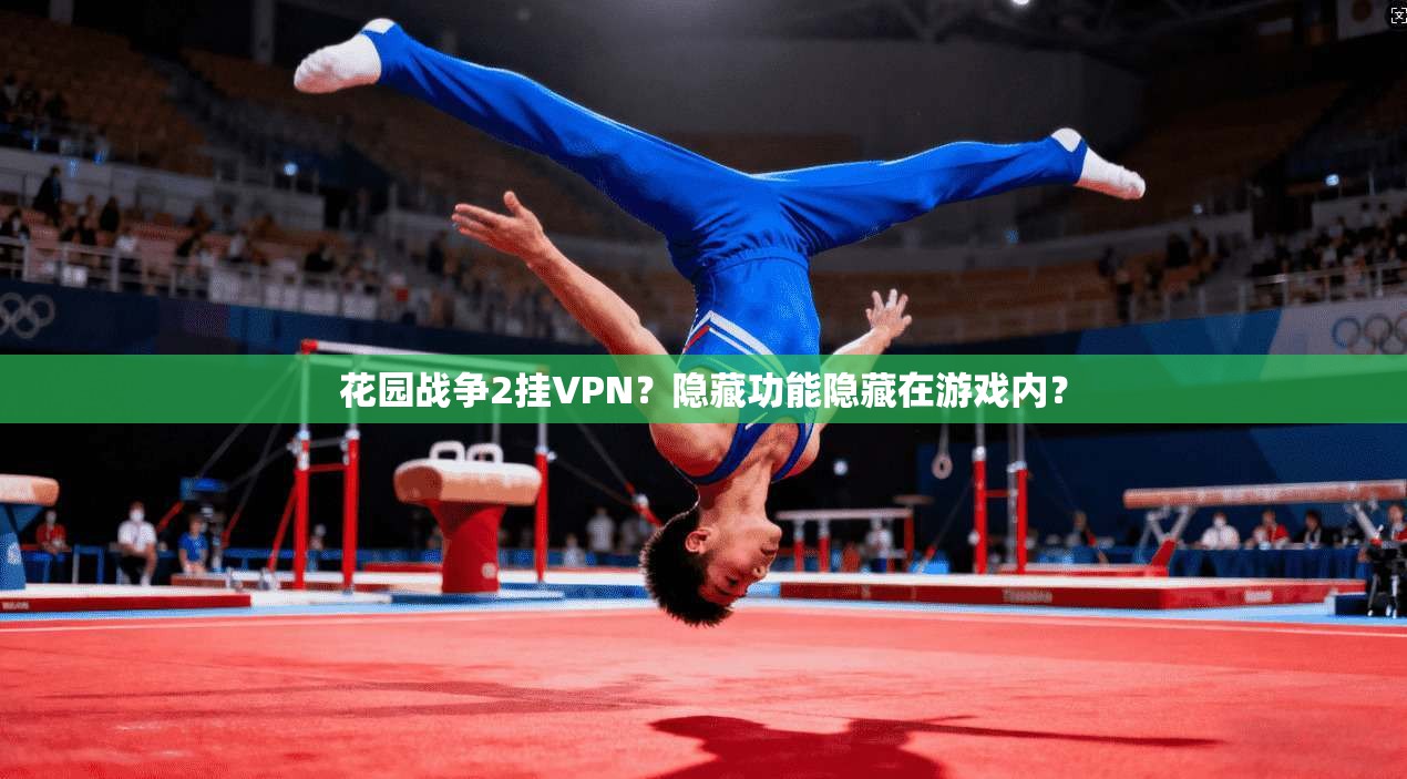 花园战争2挂VPN?隐藏功能隐藏在游戏内?