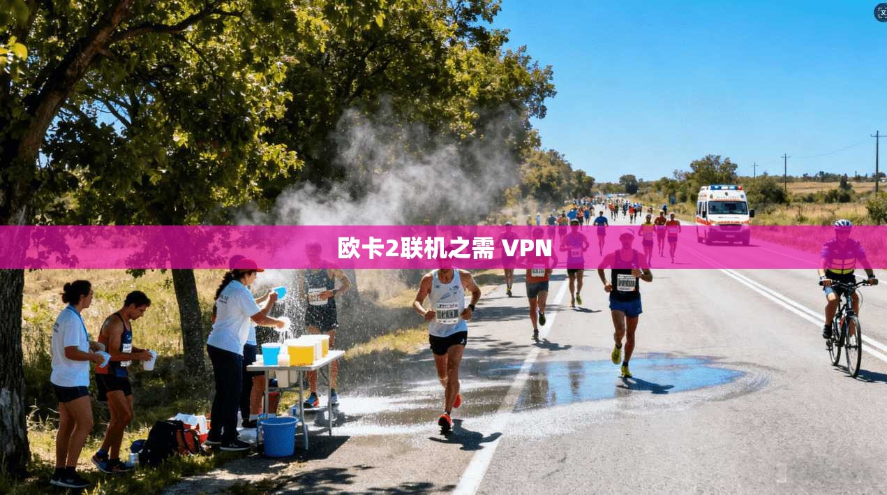 欧卡2联机之需 VPN