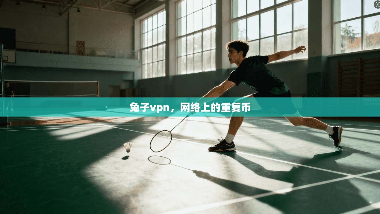 兔子vpn，网络上的重复币