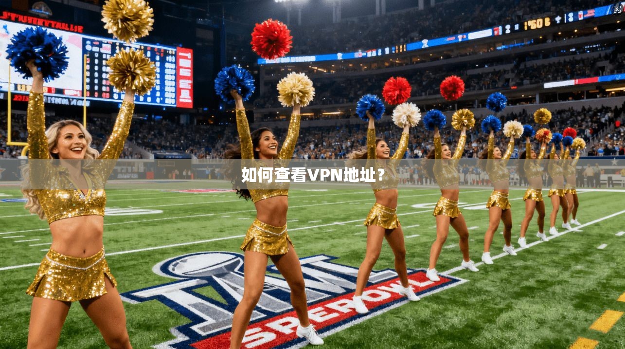如何查看VPN地址?